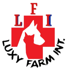 Luxy Farm International